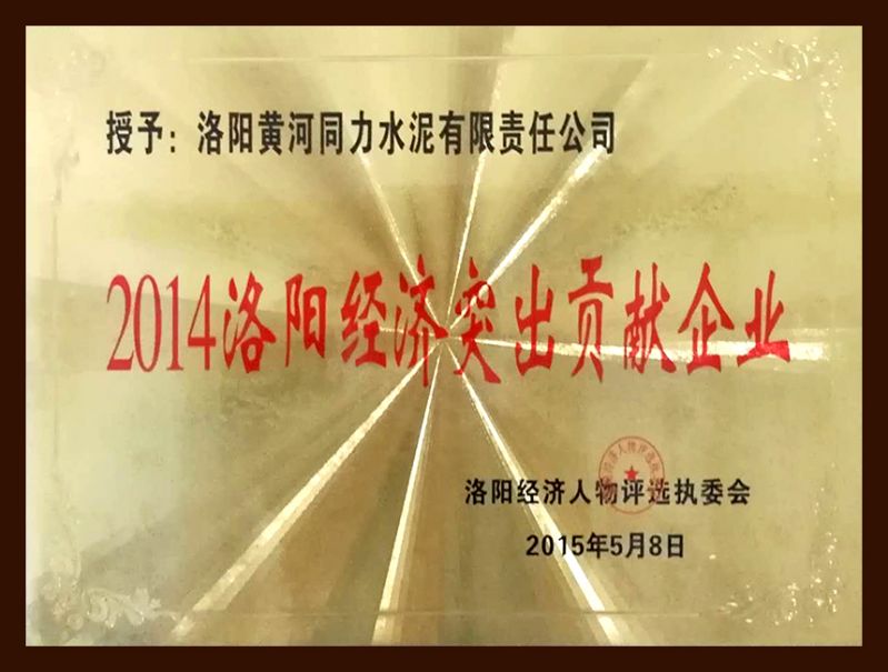 				   					洛陽經濟突出貢獻企業				 